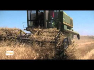 Demsala çinêne zad li Girkê Legê û metirsiye firotinê