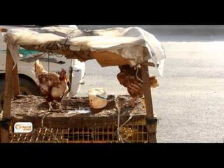 Rewşa abûrî li Hesekê di meha rojiyê de