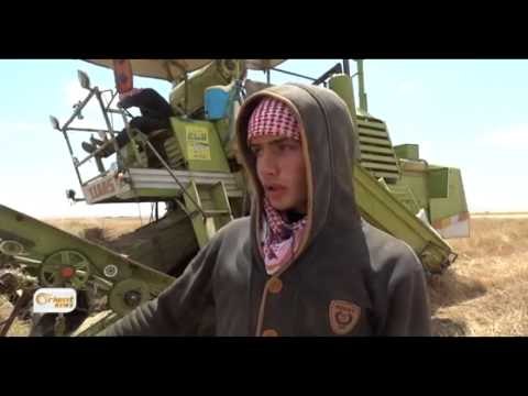 Rewşa ҫandêniyê li herêma Dêrikê