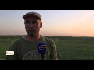 Li Amûdê dest pêka çinîna şînkaye