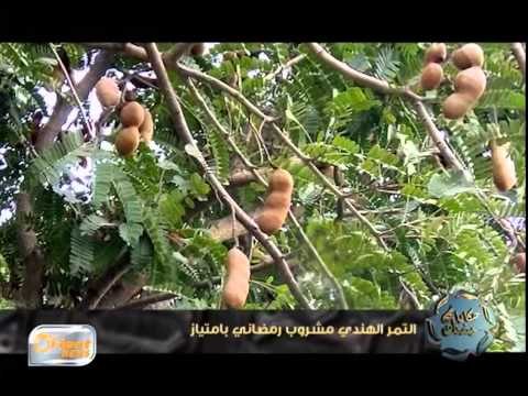 التمر الهندي مشروب رمضاني بامتياز | حكايا رمضان