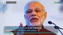 Cow important part of India's tradition and culture: PM Narendra Modi
