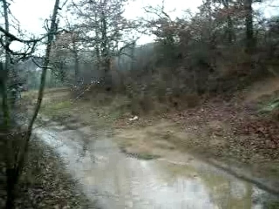 DSCN0504