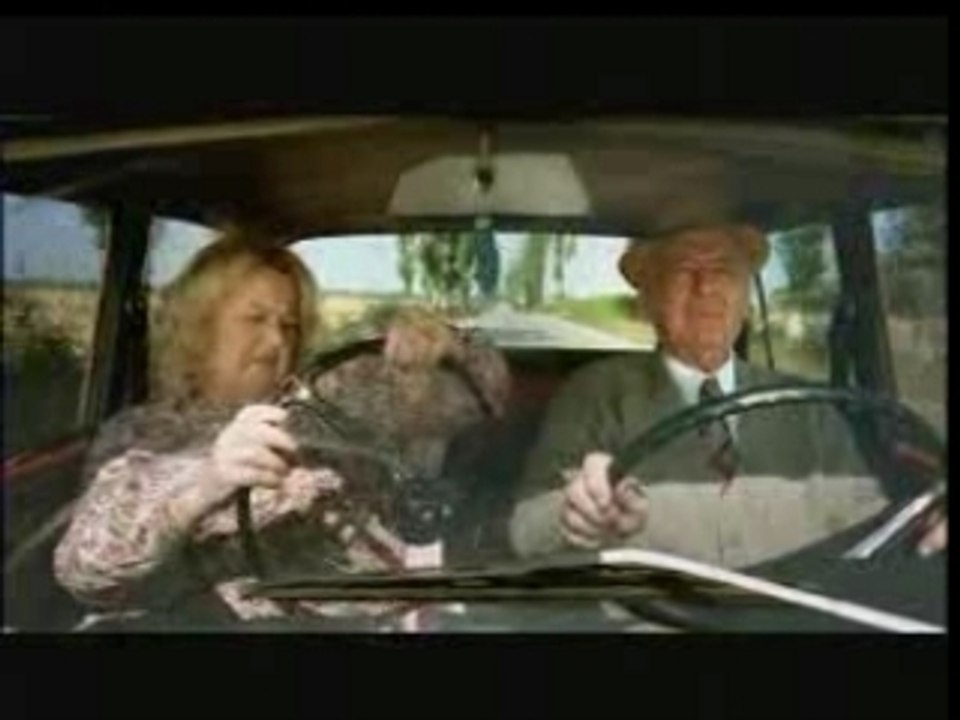 Video Divertenti- Signora in auto