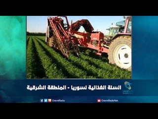 السلة الغذائية لسوريا - المنطقة الشرقية | رمانا الهوى