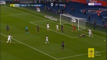 كرة قدم: الدوري الفرنسي: بي آس جي يتخطى بوردو ويخسر جهود كافاني