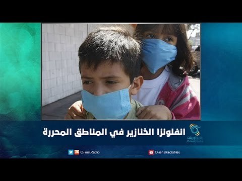 انفلونزا الخنازير في المناطق المحررة | رمانا الهوى