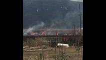 Report TV - Zjarr masiv në Orikum, flakët rrezikojnë disa banesa dhe lokale