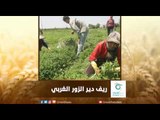 ريف دير الزور الغربي | رسالة المنطقة الشرقية