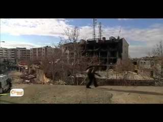 Li Bakûr di 6 heyvan de 198 sivîl bûne qurbanî