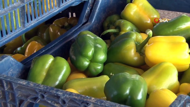 Tanzim satışları sonrası sebze fiyatlarında düşüş