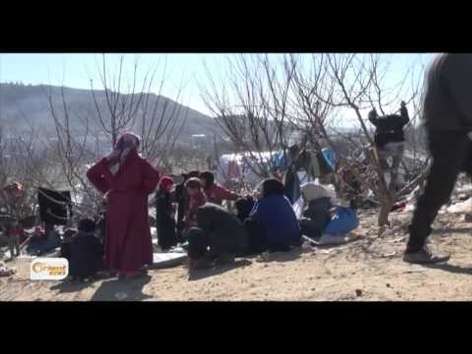 Koçberên Ereb Piştî ku Tirkiyê sînorê xwe giert, Efrîn wan hembêz dike