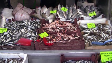 Karadeniz'de avlanan kalkan 750 liraya satıldı - DÜZCE
