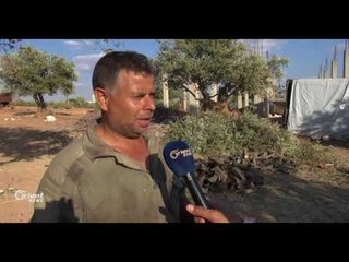 الأهالي في ريف حماة يلجؤن إلى قطع الأشجار المثمرة للتدفئة