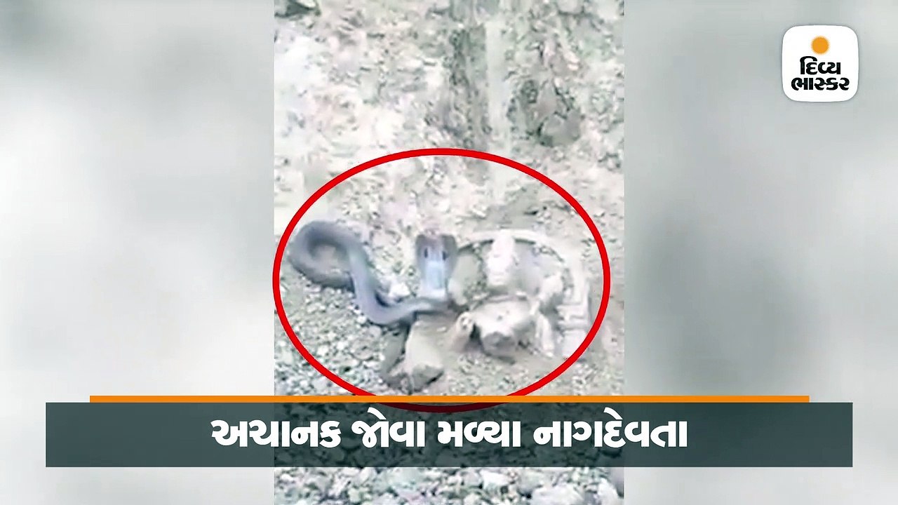 Divya bhaskar videos
