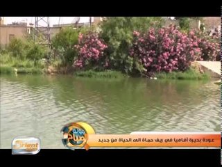 عودة بحيرة آفاميا في ريف حماة إلى الحياة من جديد | تقرير