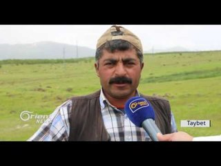 Li Bedlîsê bandora şer li ser kar û jiyana koçeran