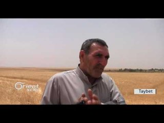 Herêma Aliyan: Çinîna mûsim destpê kir