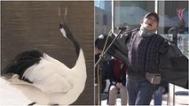 شاهد: مسابقة طريفة في اليابان في محاكاة طيور الكريكي
