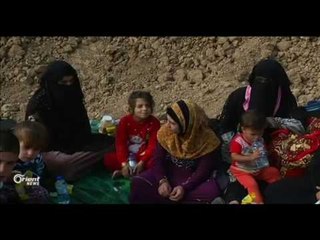 Operesyona Mûsilê Rojane bi dehan penaber koçberî Rojava û Başûr dibin