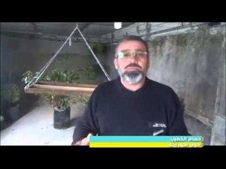 تربية طيور الزينة لكسب لقمة العيش في ريف ادلب