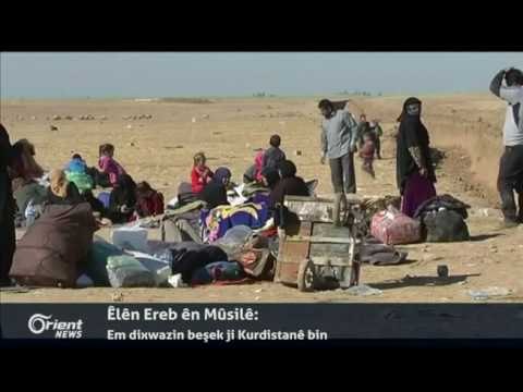 Êlên Ereb ên Mûsilê: Em dixwazin beşek ji Kurdistanê bin