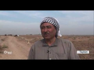 Li Herêma Cezîrê çandiya genim rastî kêmasiya pêdeviyan tê