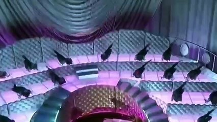 CARDI B SHOCKING PERFORMANE AT THE GRAMMYS  ACCEPTANCE SPEECH