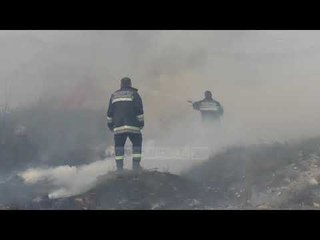 Zjarr pranë Pashalimanit. Marrin flakë kallamishtet - Top Channel Albania - News - Lajme