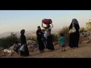 Li Herêma Efrînê Artêşa Tirkiyê bêhtirî 14500 darî li herêmên sînorî rakiriye