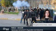 Gonol Morkş - Nûçegîhana Orient News - Amed