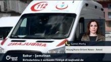 Gonol Morkş - Nûçegîhana Orient News - Amed