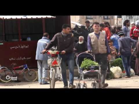 Li Efrînê jêkirina berhemên Kerezê destpê dike