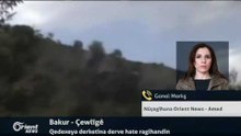 Gonol Morkş - Nûçegîhana Orient News - Amed
