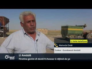 Mehmûd Delê - Cotkar - Gundewarê Amûdê