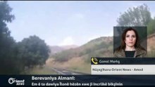Gonol Morkş - Nûçegîhana Orient News - Amed