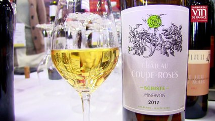 Coup de cœur pour un vin bio très frais du Minervois