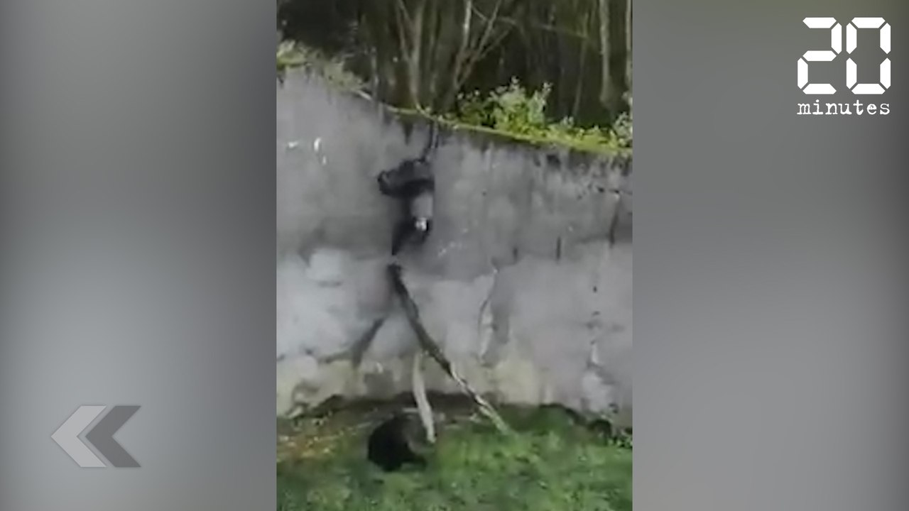 L'évasion du siècle - Le Rewind du Lundi 11 Février 2019