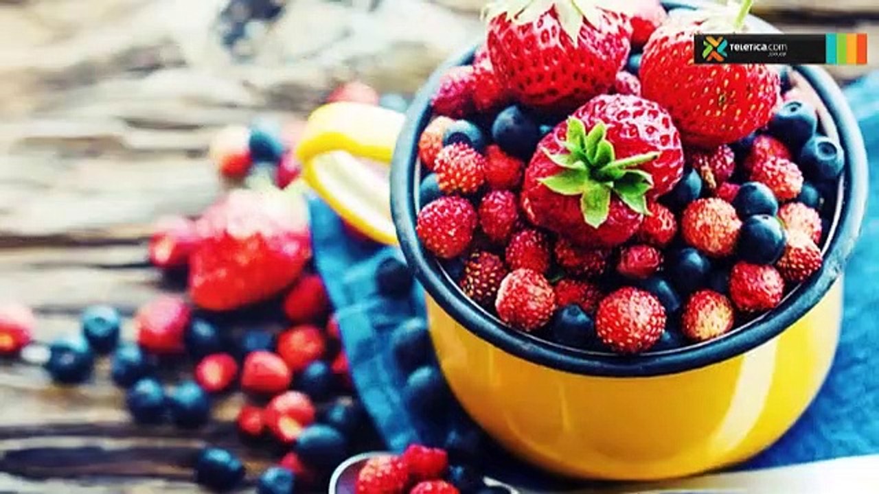 bd-antioxidantes-110219