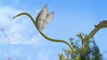 Snakes really can fly - Real Flying Snakes - Animal video 2019