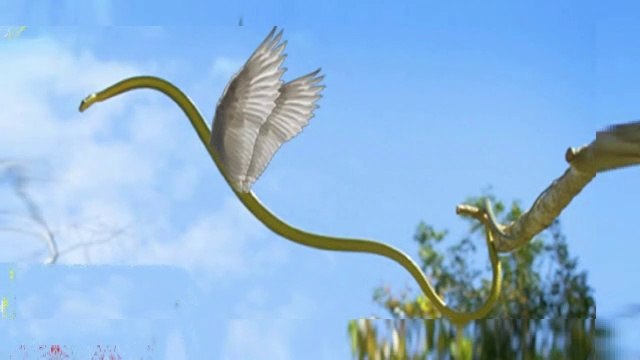 Snakes really can fly - Real Flying Snakes - Animal video 2019
