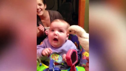 Funniest Babies Make Actions
