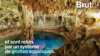Au cœur des forêts mexicaines, les cénotes attisent la curiosité des scientifiques