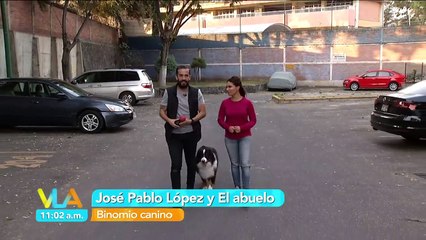Venga la Alegría | ¿Cómo lograr que mi perro deje de morder todo?