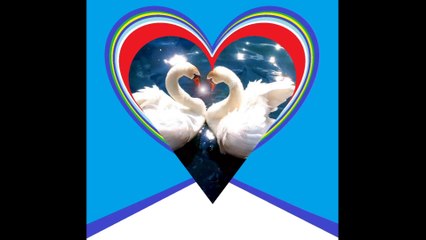 I fall in love, and i blame you [Quotes and Poems]