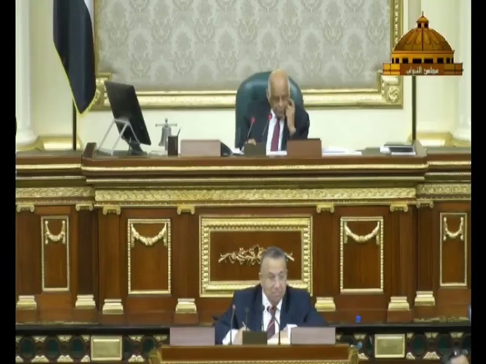 رد احد من نواب البرلمان على الدستور #كلمه حق