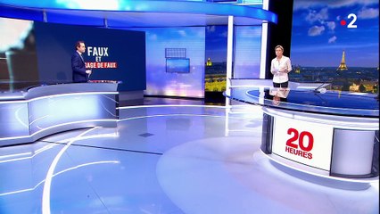 Faux et usage de Faux : des policiers se sont-ils déguisés en casseurs ?