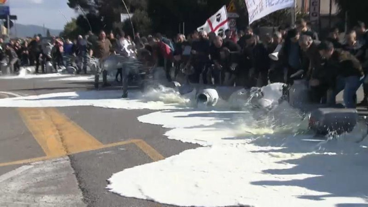 60 Cent pro Liter: Schäfer auf Sardinien gegen zu niedrige Milchpreise
