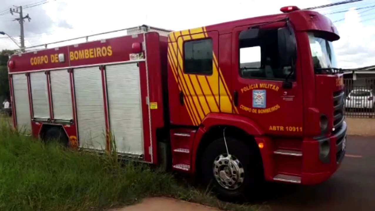 Ataque de abelhas mobiliza Corpo de Bombeiros