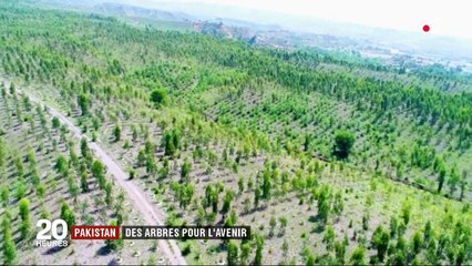 Pakistan : 1 milliard d'arbres plantés pour l'avenir